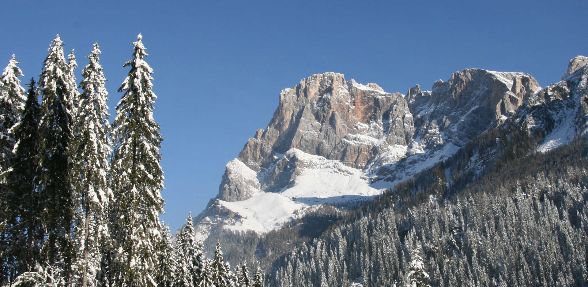 Cimone della Pala - Pale di San Martino